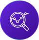 icon soluciones 13